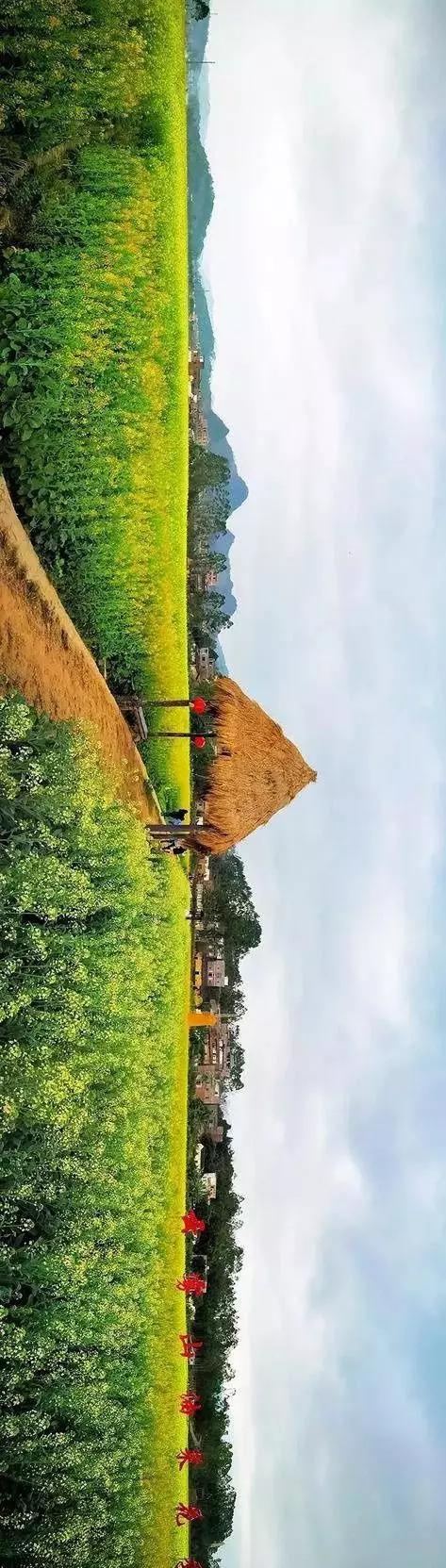 中國經(jīng)濟(jì)體制改革基金會(huì)全國第一！中國改革熱度第三方評(píng)估出爐，云浮宣傳系數(shù)在全國343個(gè)城市居首位                             